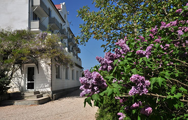 Майские праздники в «Афалине»